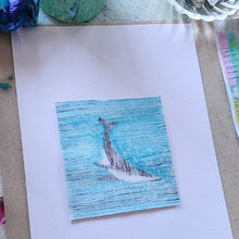 Load image into Gallery viewer, ADULT &amp; HIGHSCHOOL CLASSES - TERM 3 2025